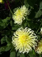 20250806_162835.webp