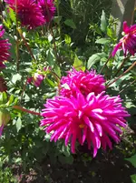 20250806_162832.webp