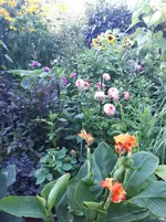 20250804_181905.webp