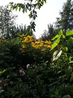 20250809_173445.webp