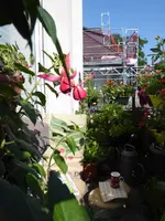 001.webp