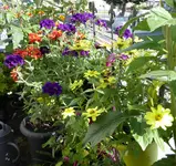 004.webp