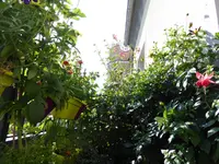 010.webp
