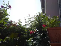 011.webp