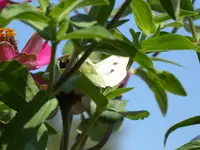 013.webp