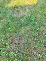IMG_5701.webp