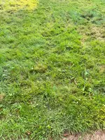 IMG_5693.webp