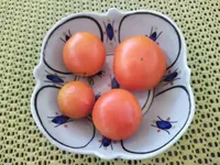 IMG_20250811_094827_1.webp