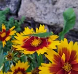20250812_073736.webp
