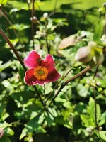 IMG_20250812_101508.webp