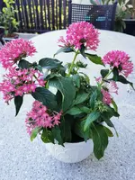 IMG_20250812_162354.webp