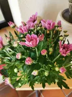 IMG_20250812_122539.webp