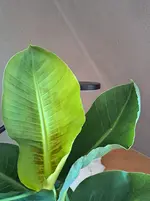 20250805_093738.webp