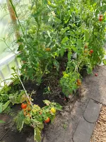 20250813_163011.webp