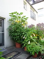 DSC05156.webp
