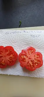 20250813_112526.webp