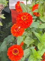 IMG_4688.webp