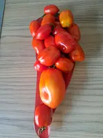 20250814_102441.webp