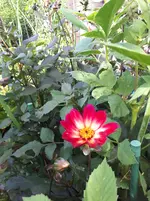 20250808_171502.webp