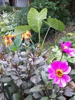 20250808_171600.webp