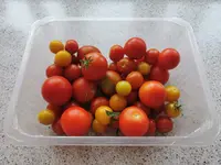 IMG_20250815_100212.webp