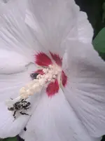 20250815_081531.webp