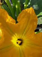 20250815_083610.webp