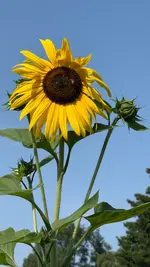 IMG_5548.webp