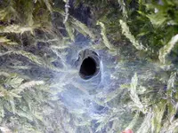 16.webp