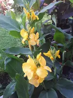 20250814_172533.webp