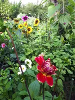 20250808_171337.webp