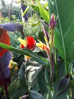 20250809_173431.webp