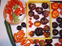 Ernte 16.08 (2).webp