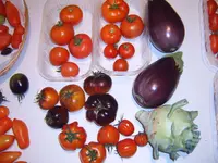 Ernte 16.08 (3).webp