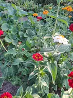 1000036117.webp