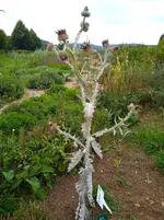 IMG_20250817_140143_1.webp