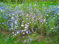 IMG_20250817_134844_1.webp