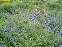 IMG_20250720_151832_1.webp