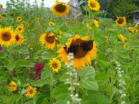IMG_20250817_133938.webp