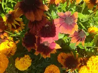 IMG_20230823_120606.webp