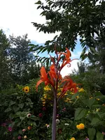 20250817_131223.webp