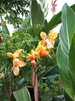 20250817_131209.webp