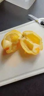 20250818_100523.webp