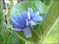 c011.webp
