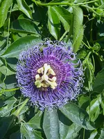 IMG_20250819_155330_1.webp