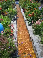 IMG_20250819_130007.webp