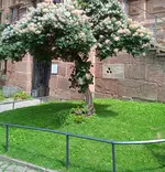 IMG_20250713_130415.webp