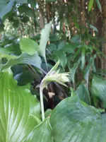 20250818_174800.webp