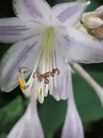 20250820_123700.webp