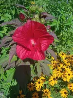 IMG_20250819_155712.webp